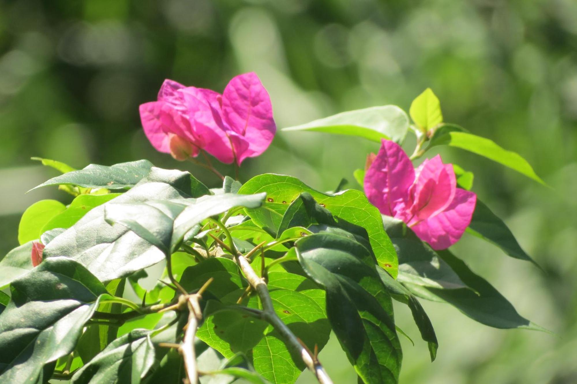 Vocare Finca Agroecologica Упала Экстерьер фото