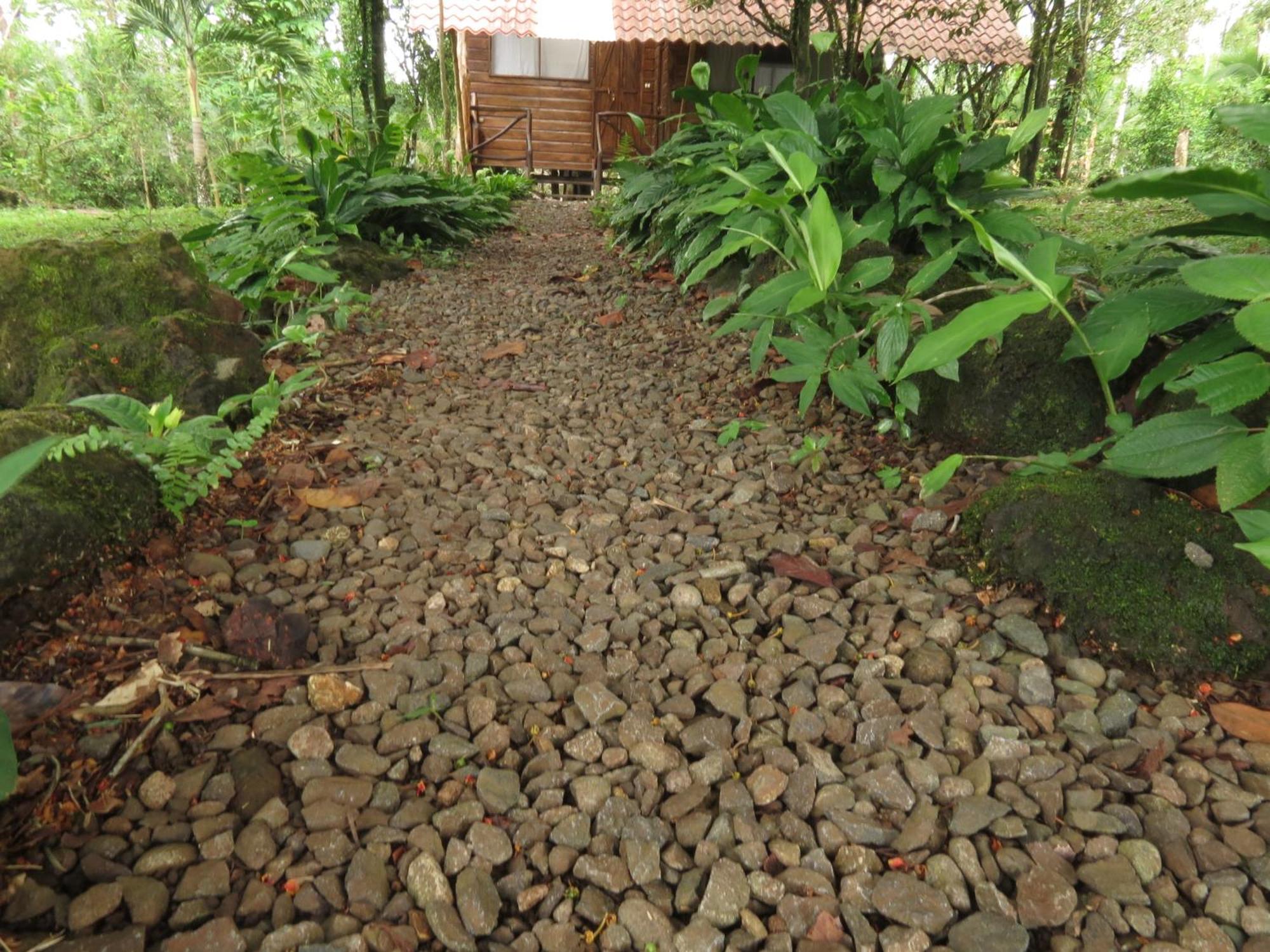 Vocare Finca Agroecologica Упала Экстерьер фото